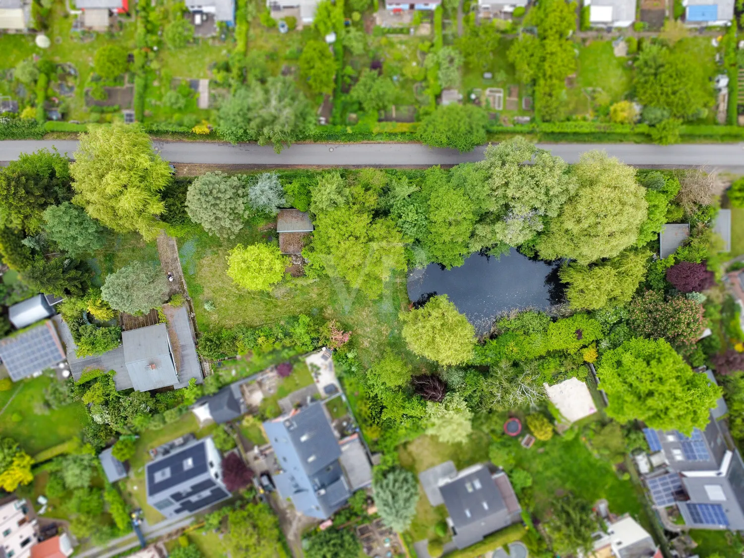 Blick auf das Gesamtgrundstück
