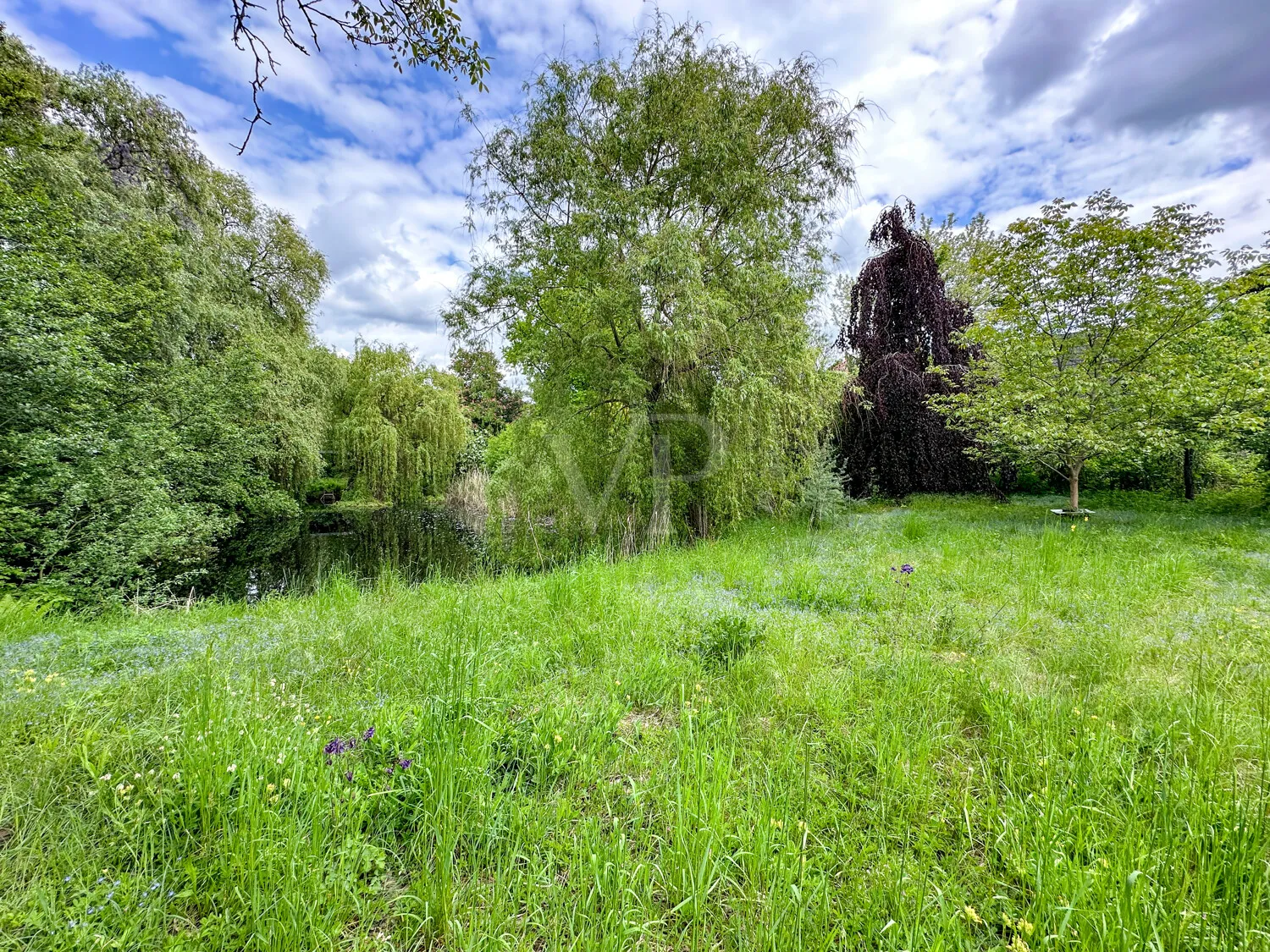 Blick auf den Teich