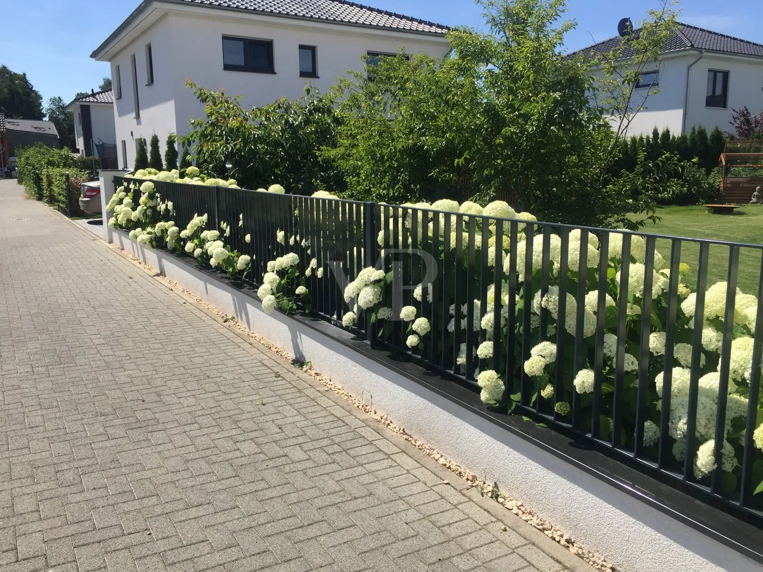 Sommerbild