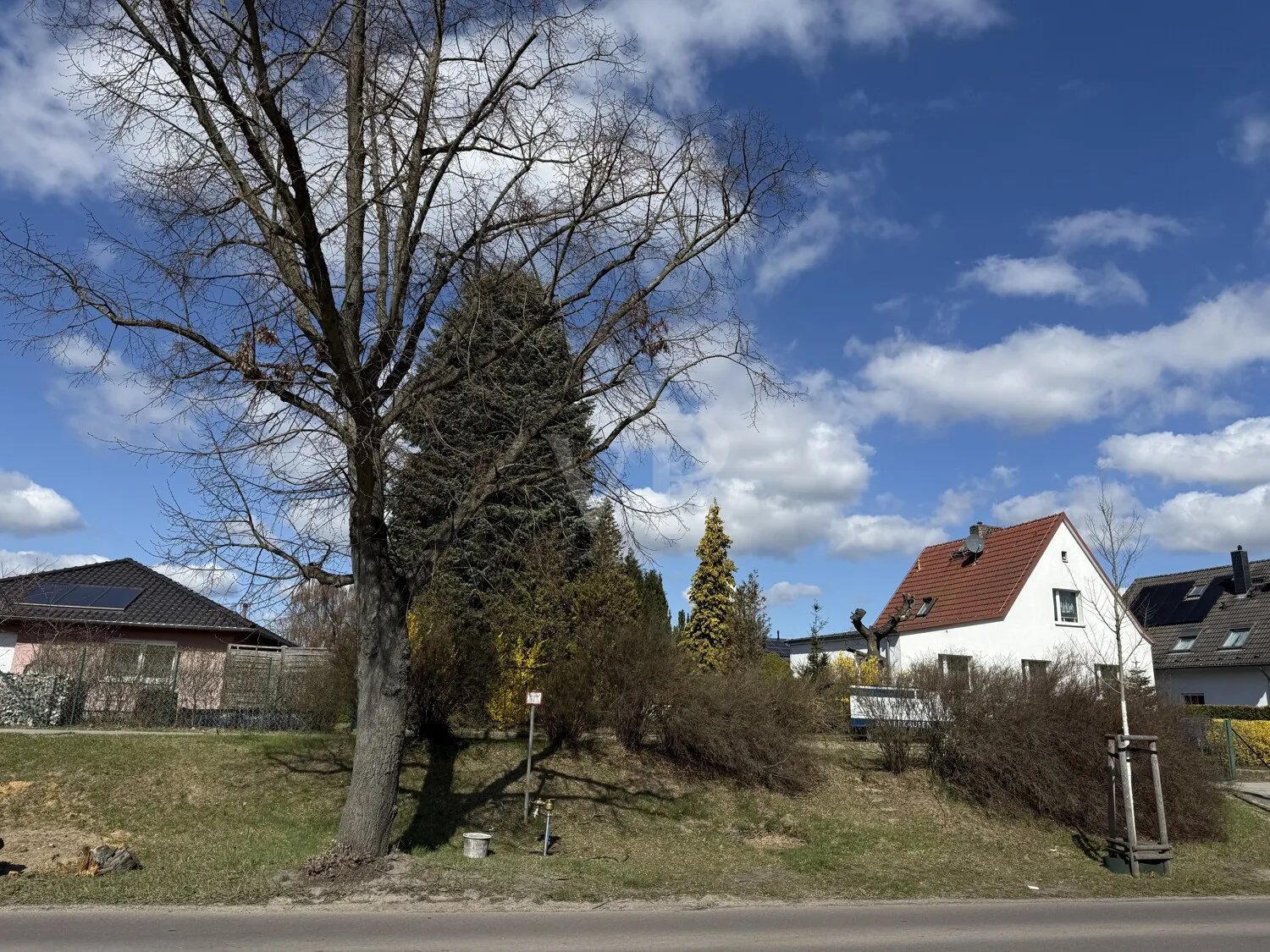 straßenseitige Ansicht