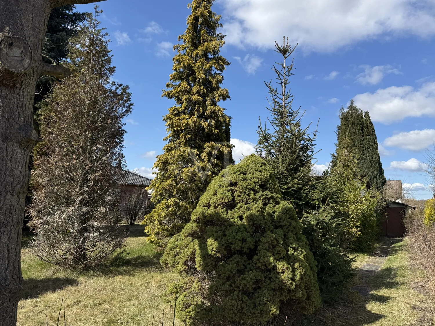 straßenseitige Ansicht