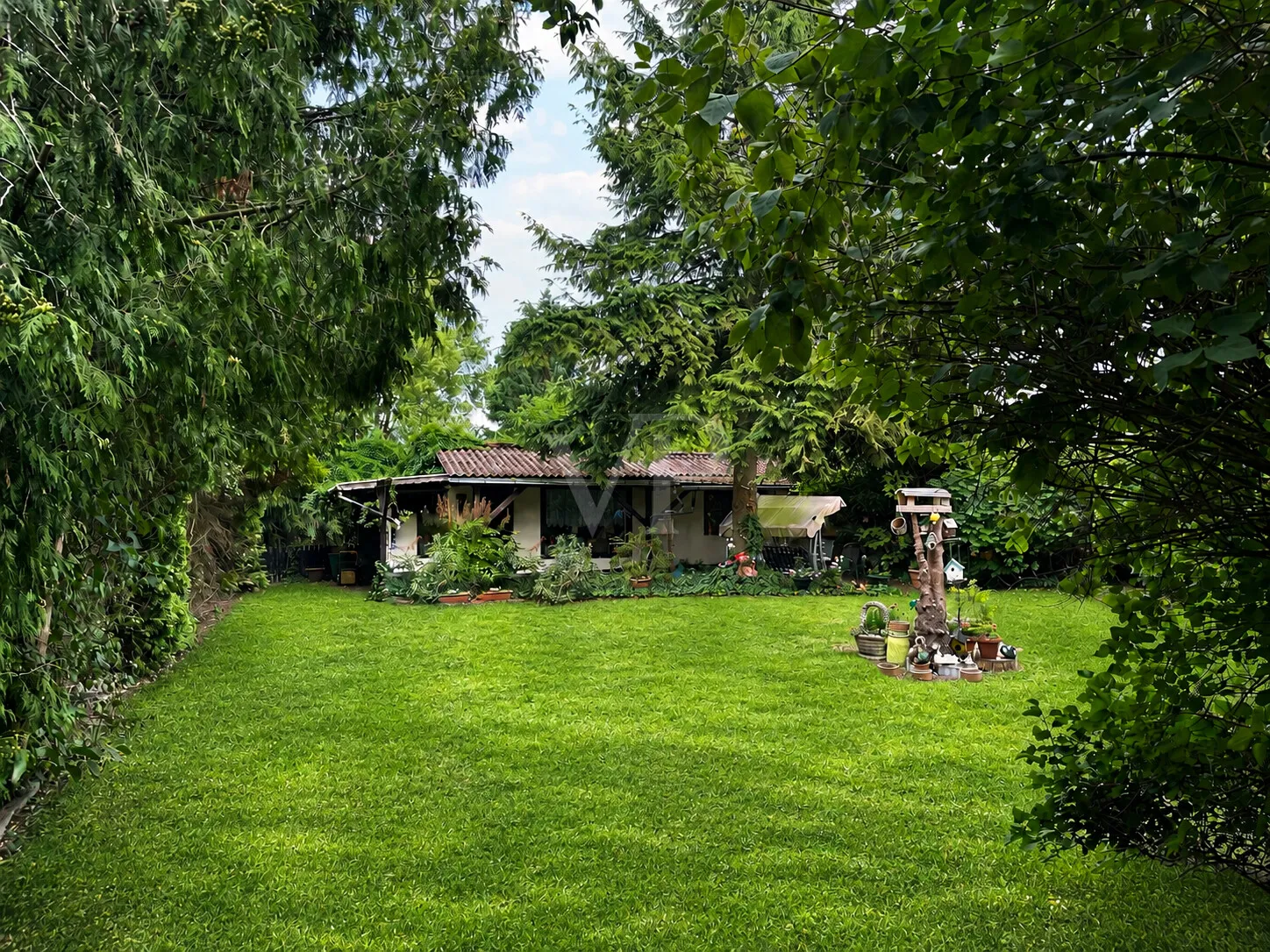 Grundstück (KI generiertes Sommerfoto)