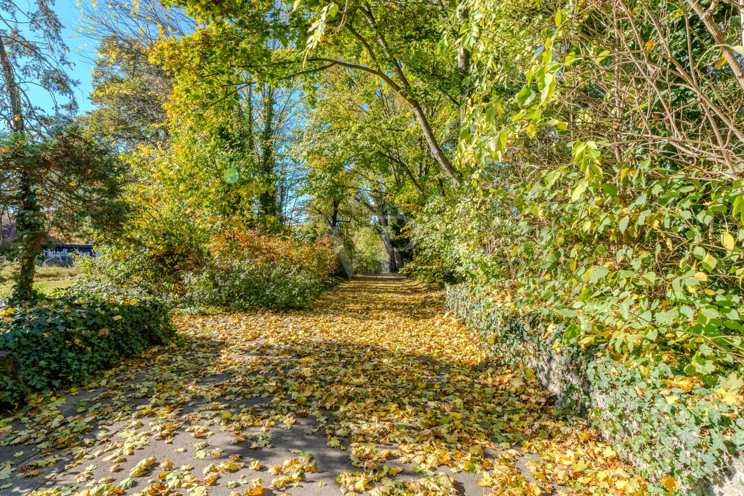 direkter Parkzugang
