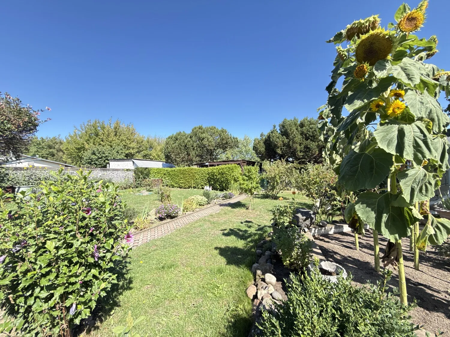 viel Platz im Garten
