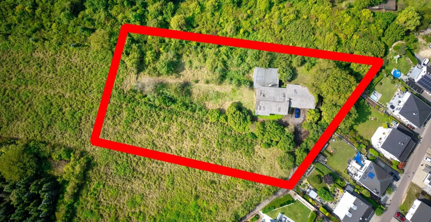 8bf9a2d4-4639-450e-85a5-7950a34bf7a4