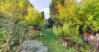 von_poll_real_estate_property_25160019_image_10