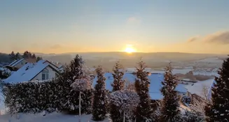 von_poll_real_estate_property_25160025_image_24