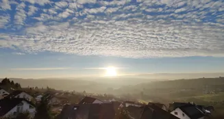 von_poll_real_estate_property_25160025_image_22