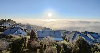 von_poll_real_estate_property_25160025_image_21