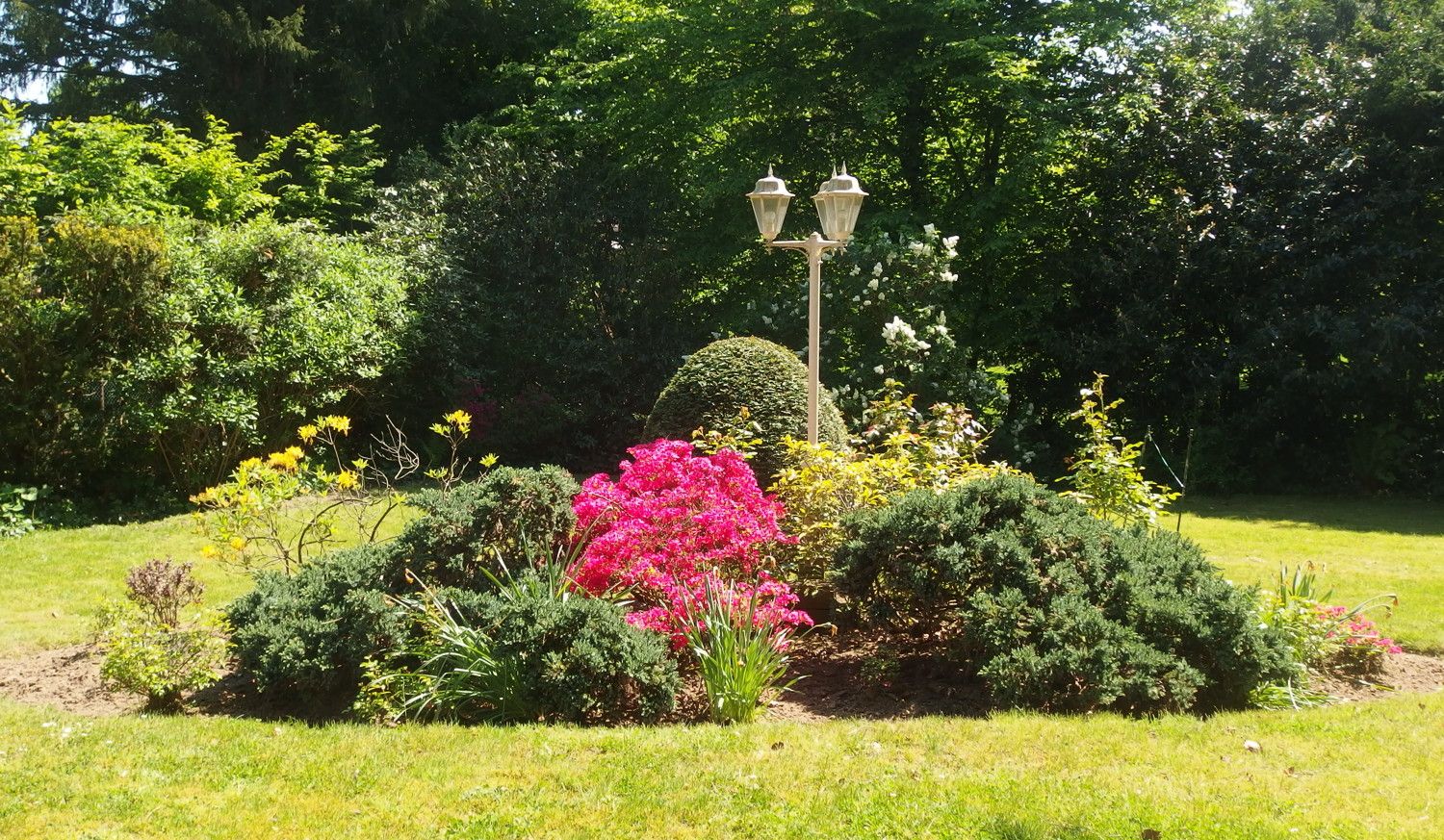 Gartenbepflanzung