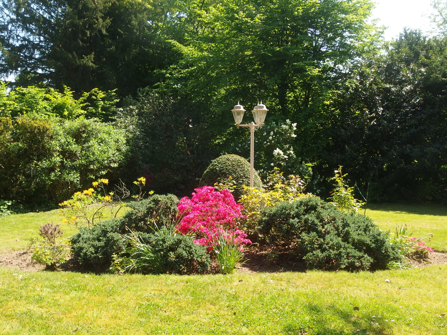 Gartenbepflanzung
