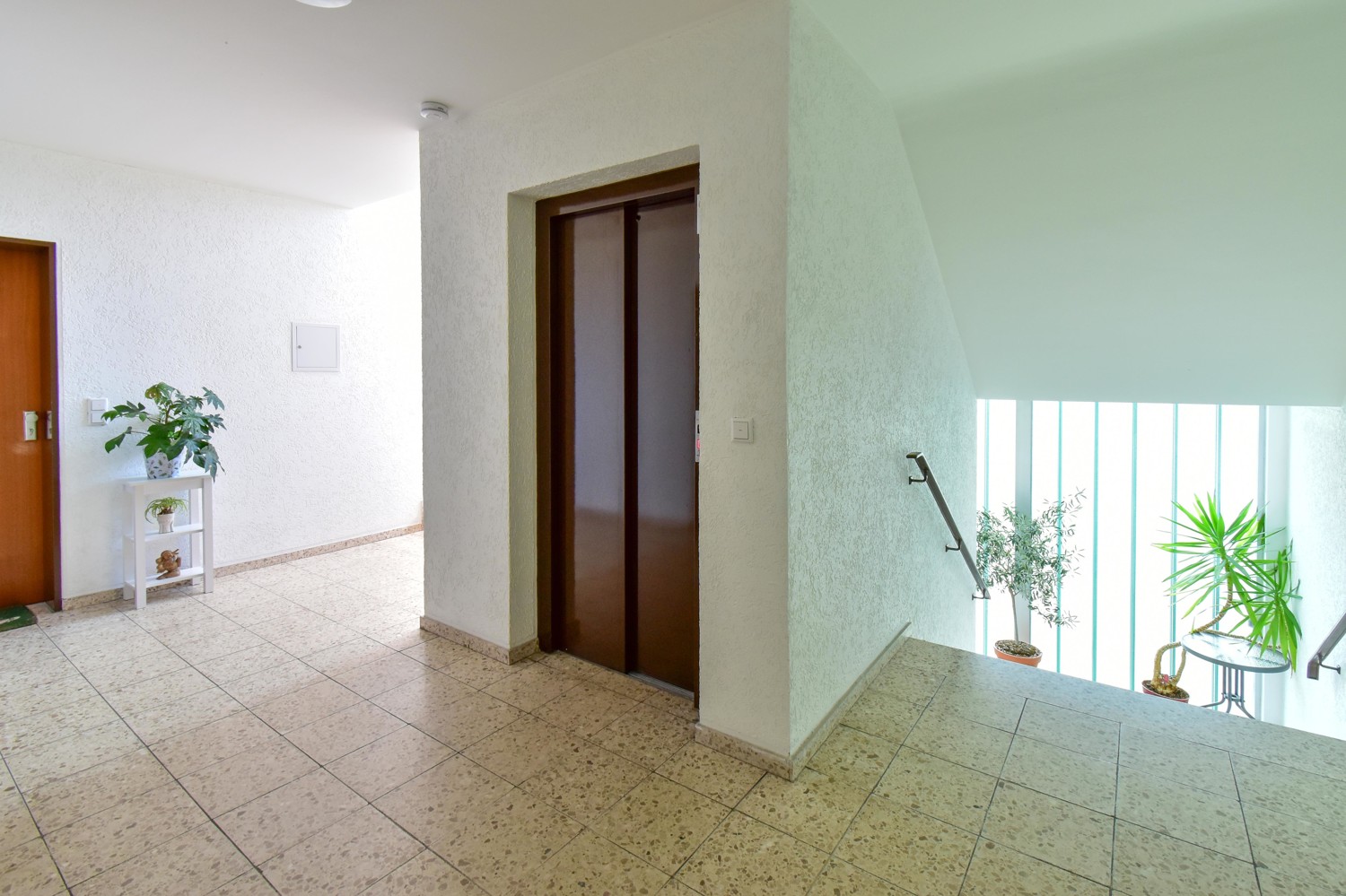 Hausflur und Zugang zum Lift