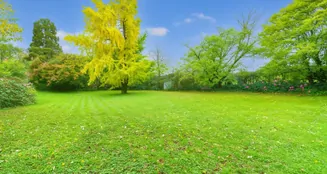 von_poll_real_estate_property_25080031_image_5