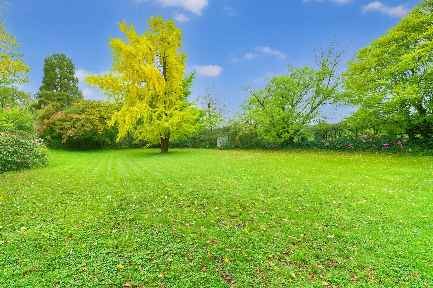 Impression Garten