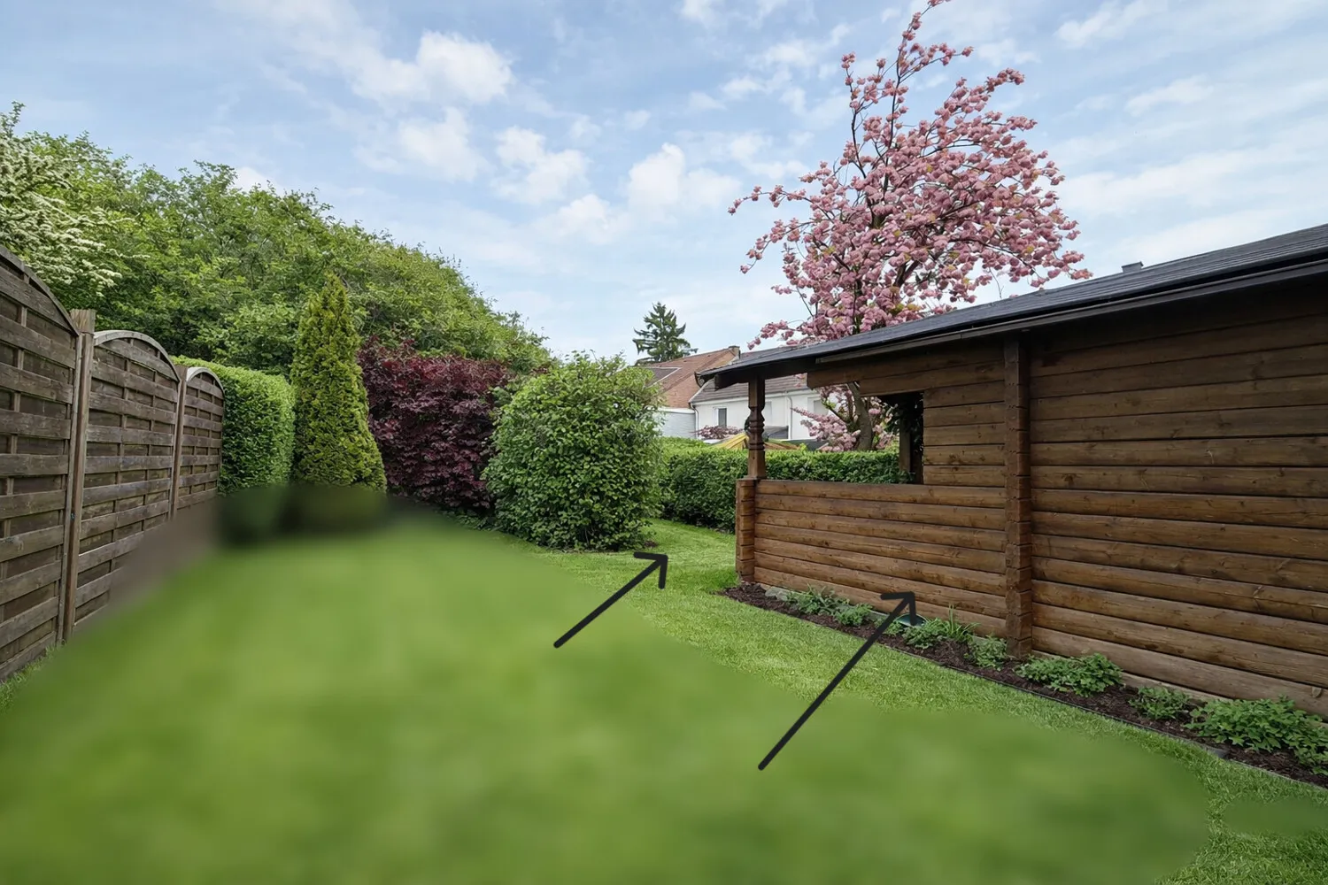 Garten illustriert