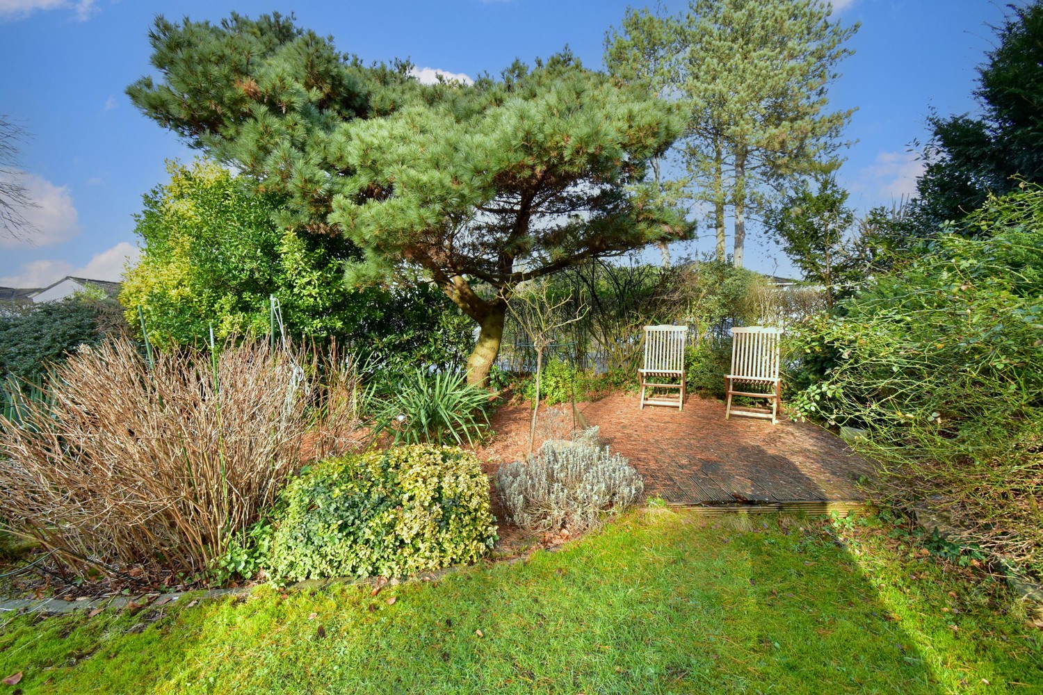 Terrasse im vorderen Gartenteil