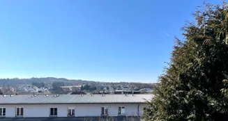 von_poll_real_estate_property_22119008_image_31