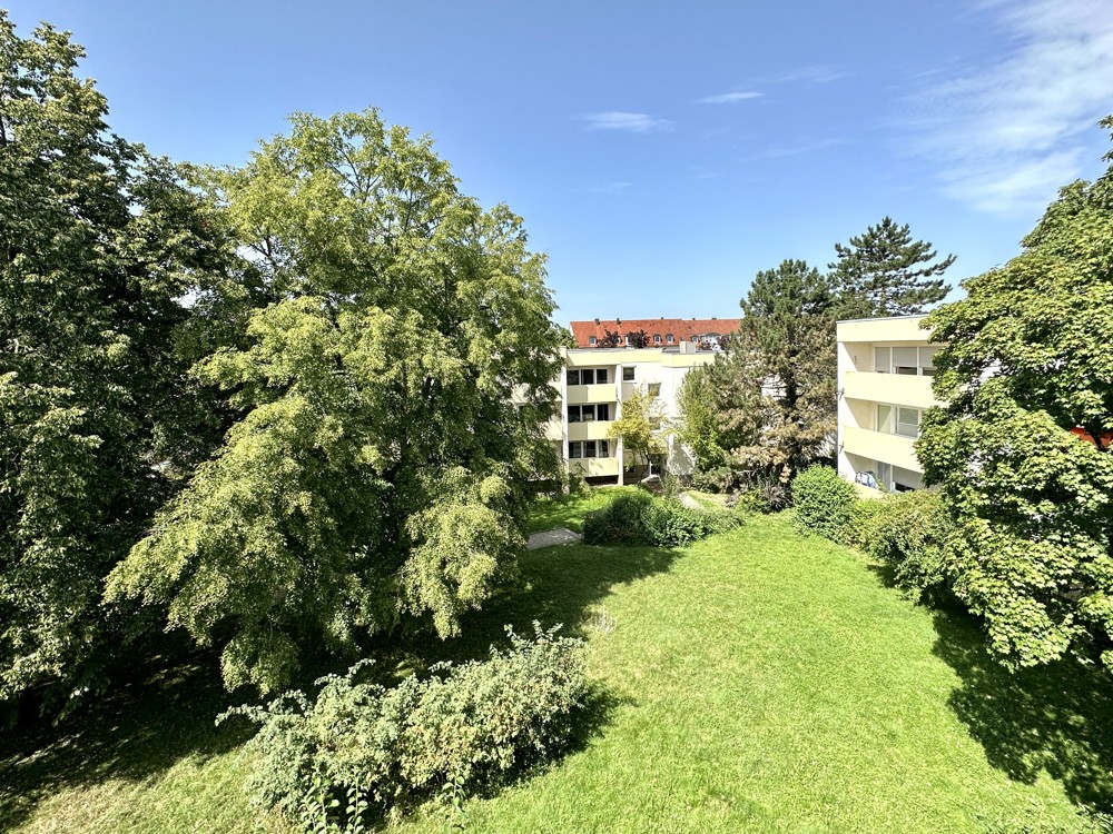 schöner Ausblick in das Grüne