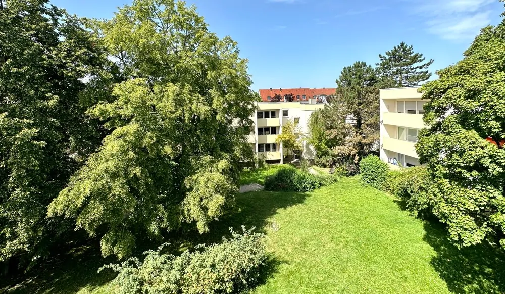 schöner Ausblick in das Grüne