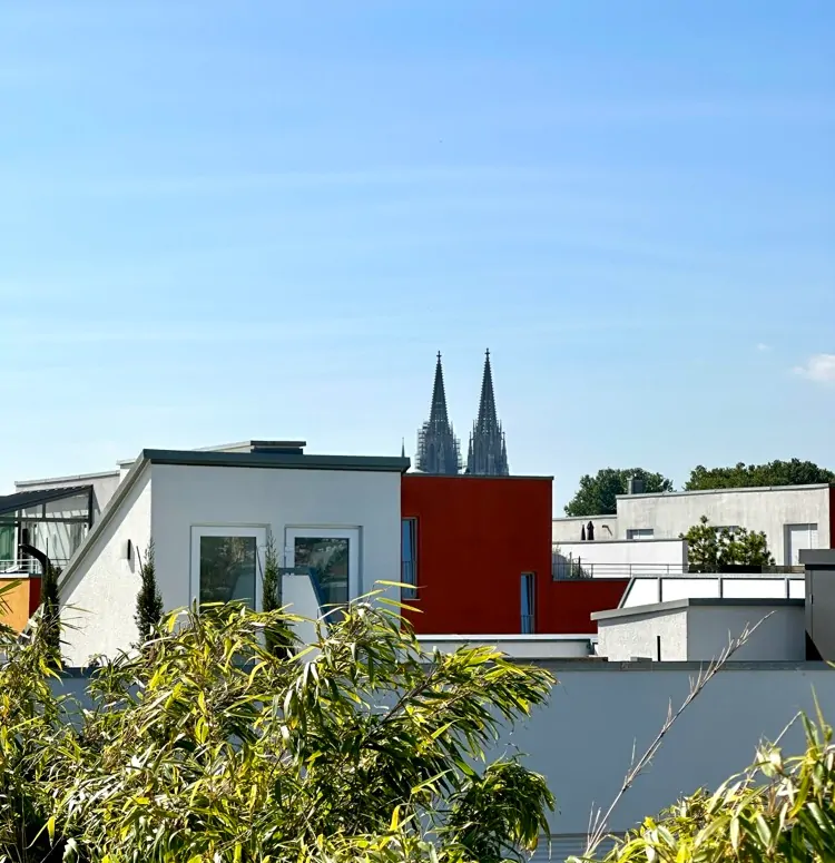 traumhaft schöner Domblick