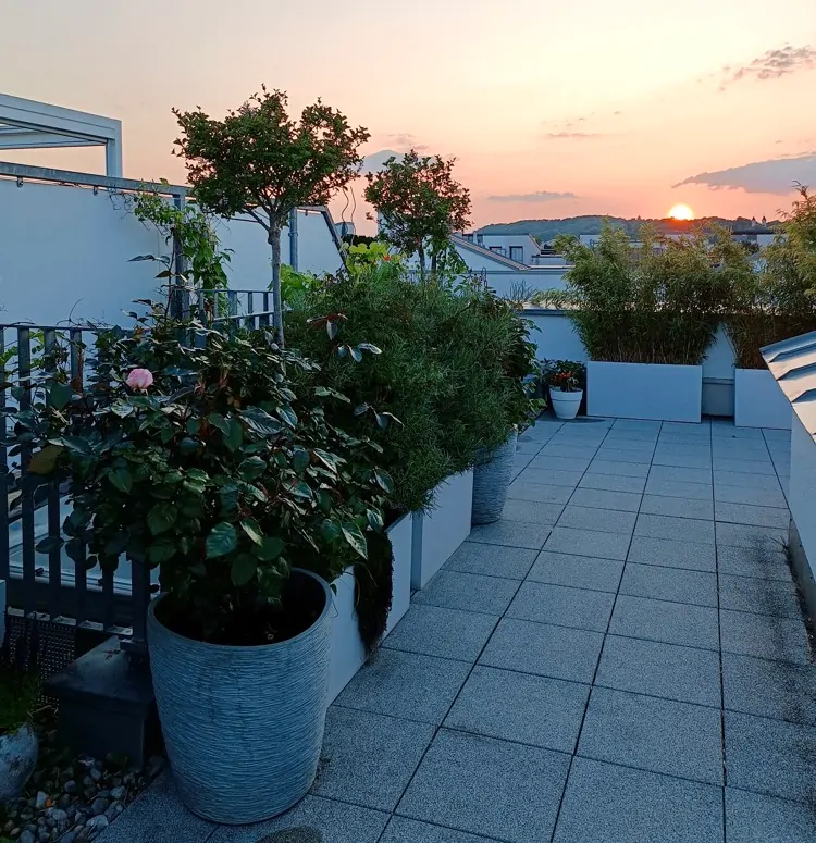 romantischer Sonnenuntergang