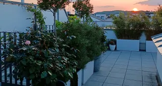 von_poll_real_estate_property_23119032_image_21