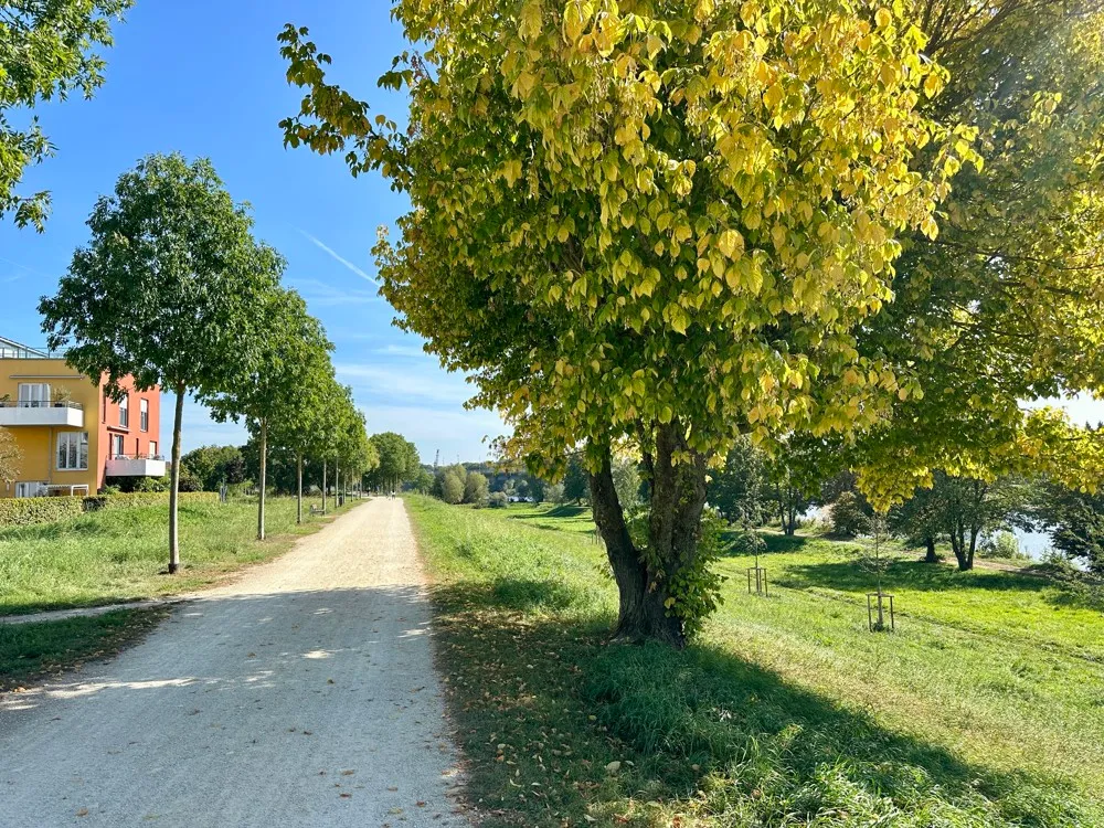Spazier- und Radweg an der Donau