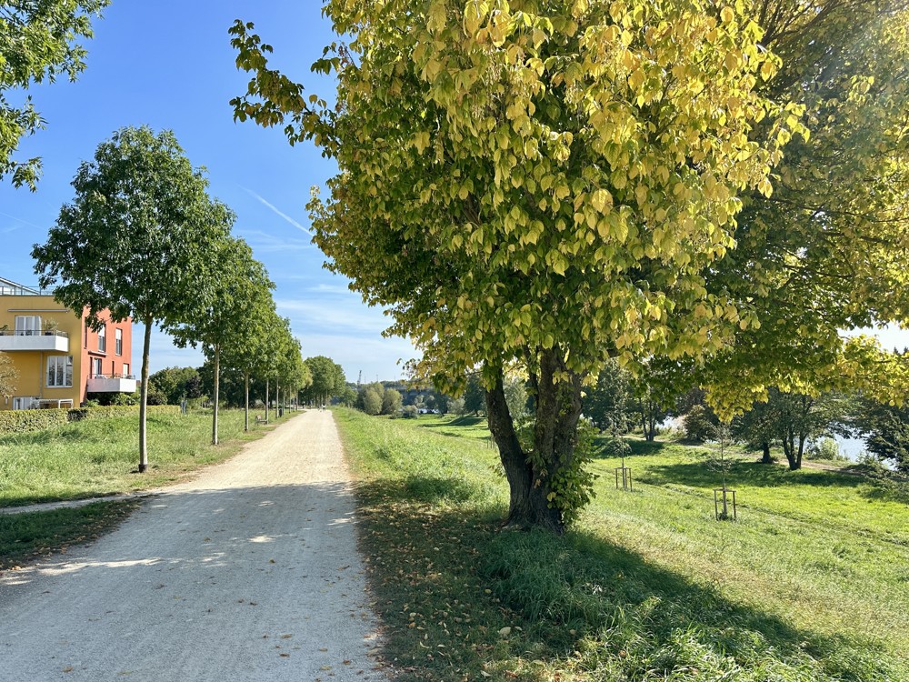 Spazier- und Radweg an der Donau