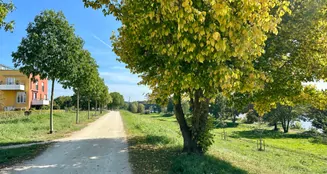 von_poll_real_estate_property_23119032_image_31