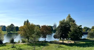 von_poll_real_estate_property_23119032_image_32