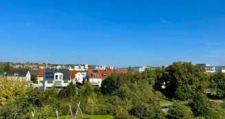 von_poll_real_estate_property_23119032_image_25