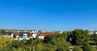 von_poll_real_estate_property_23119032_image_25