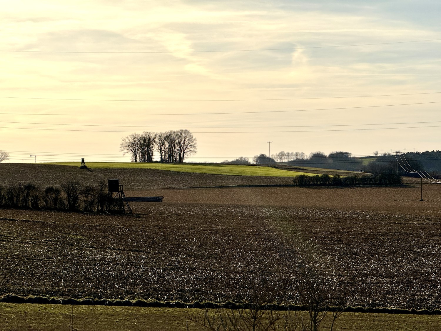 schöne Abendstimmung