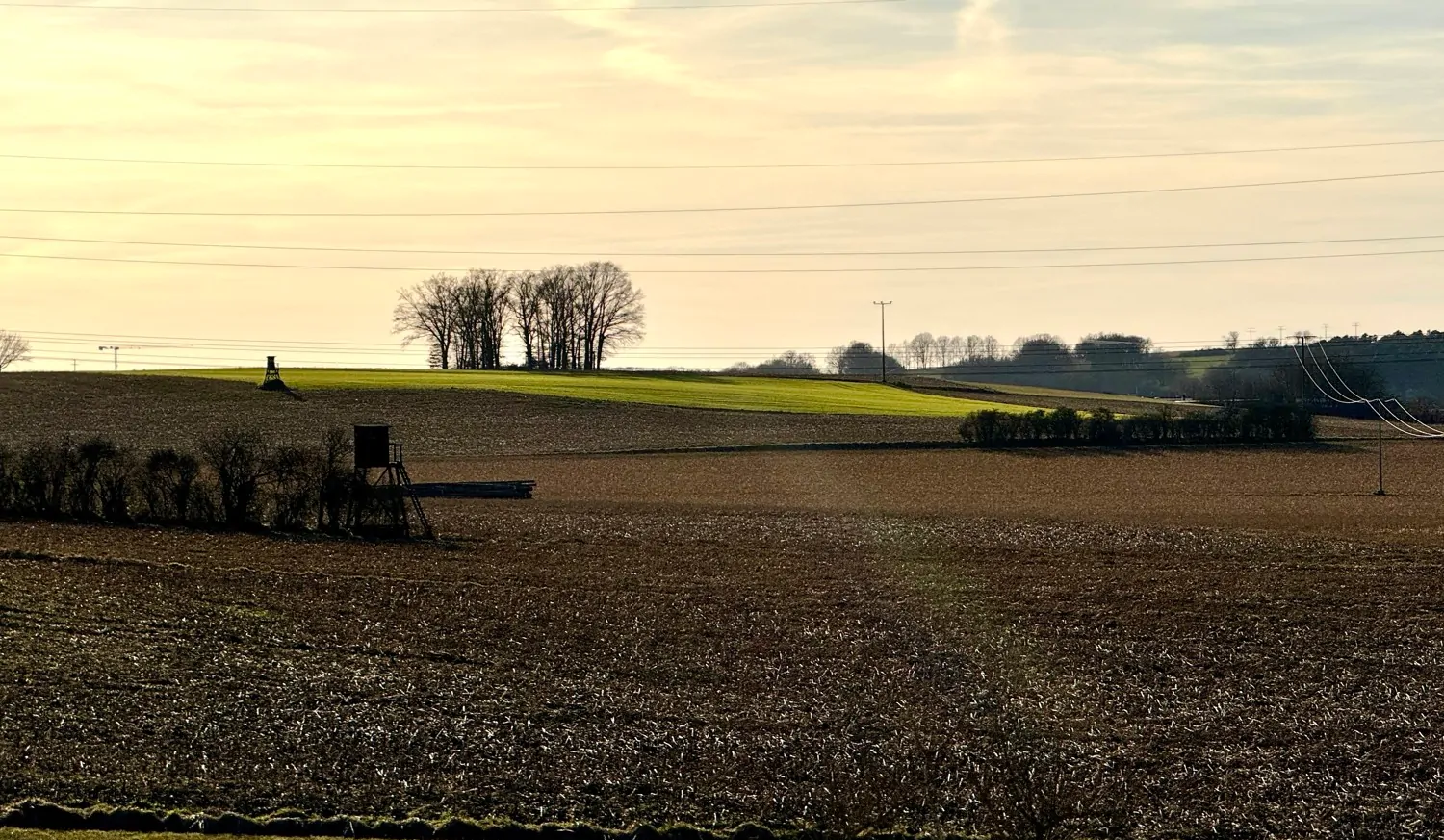 schöne Abendstimmung