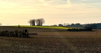 von_poll_real_estate_property_24119010a_image_31