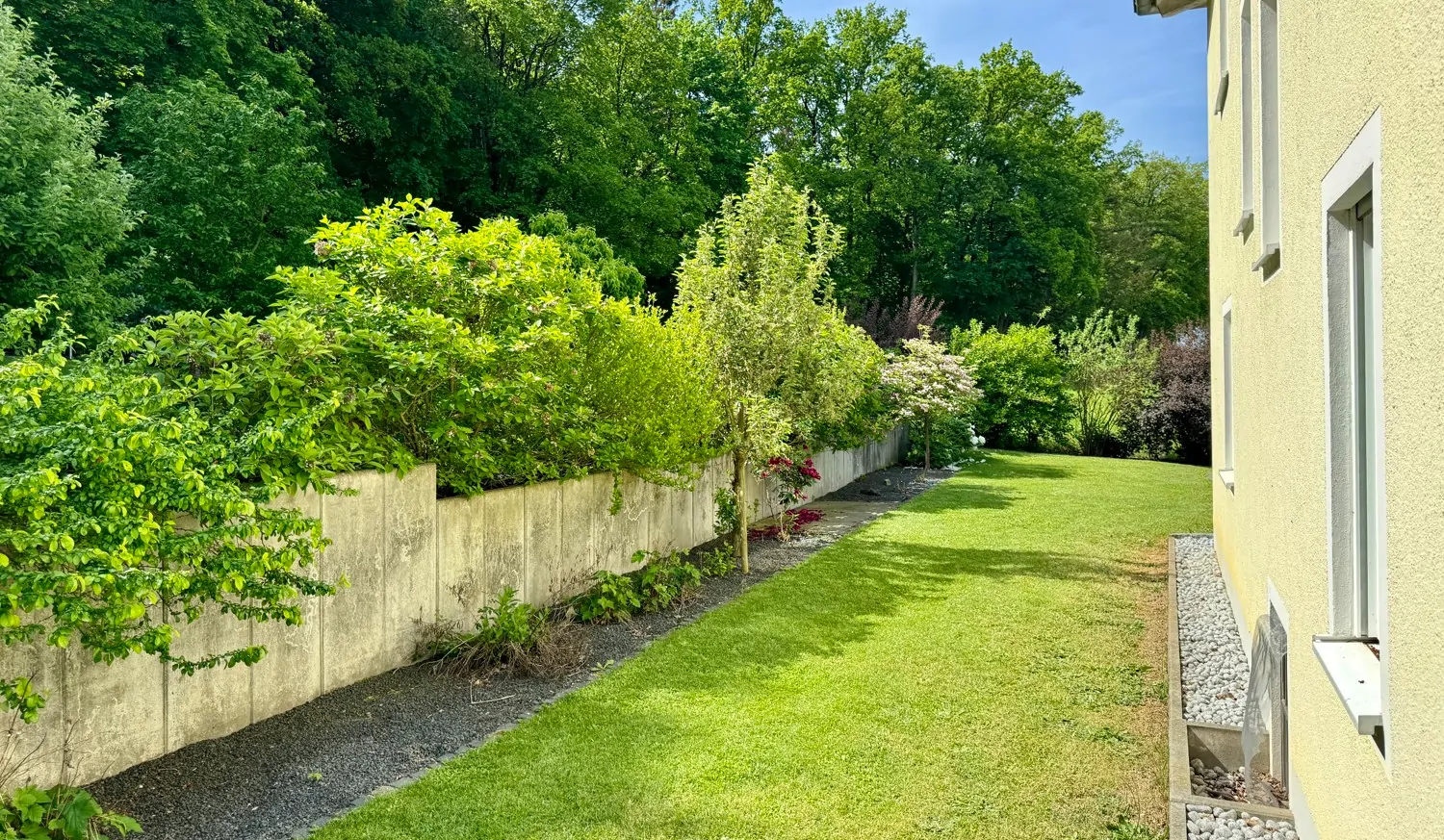 seitlicher Gartenbereich