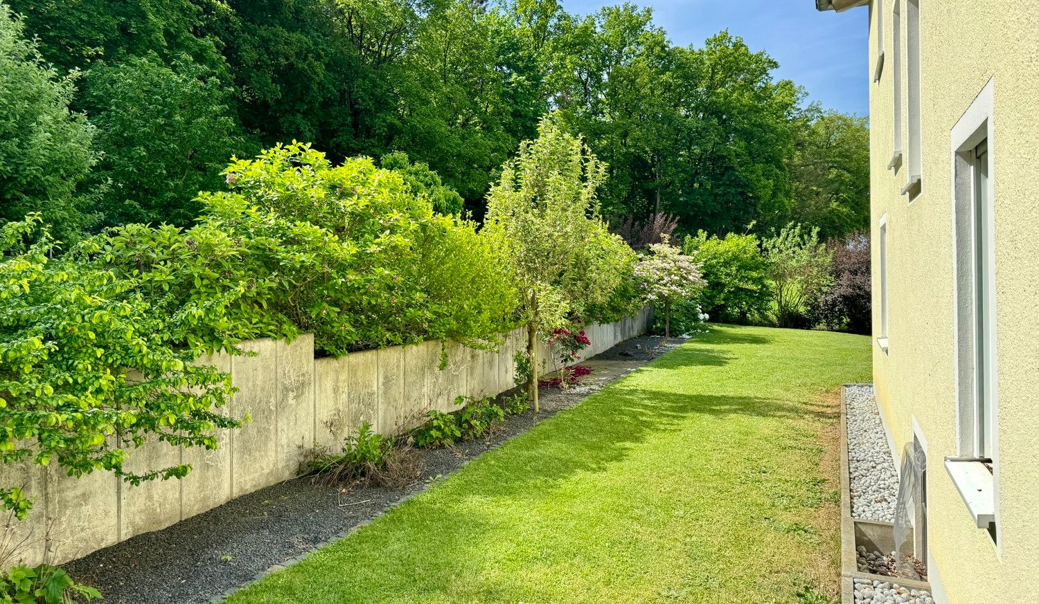 seitlicher Gartenbereich