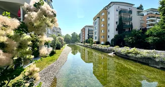 von_poll_real_estate_property_24119021_image_1