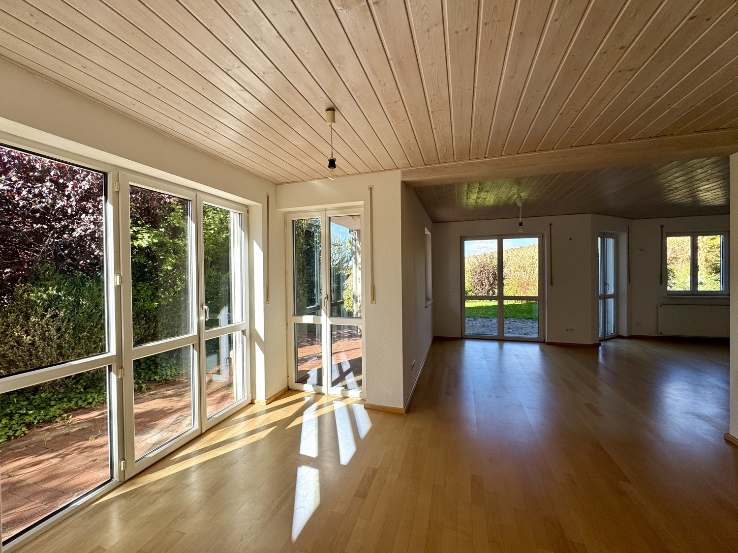 zahlreiche Fenster für viel Tageslicht