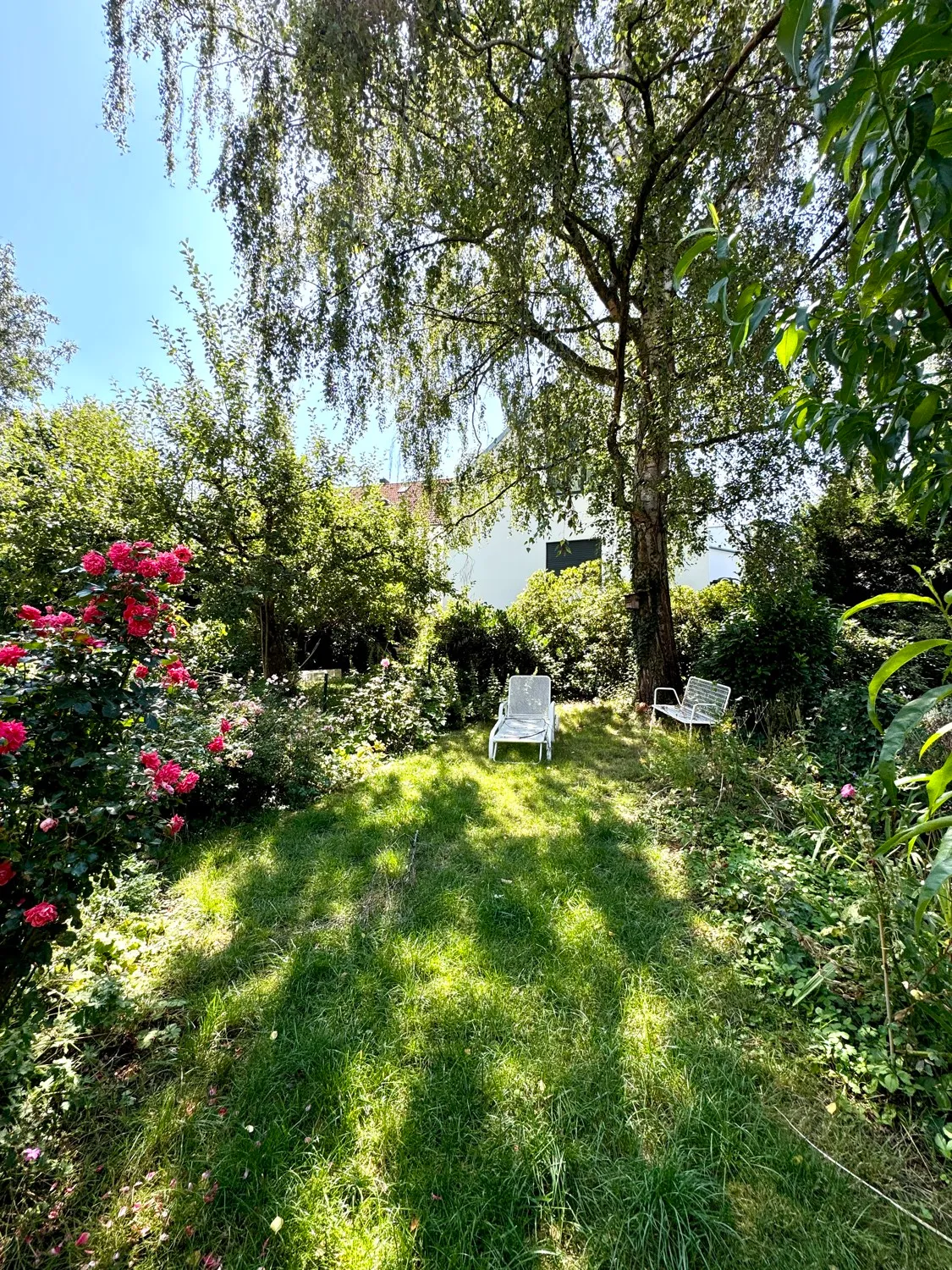 wunderschöner Garten mit altem Baumbestand