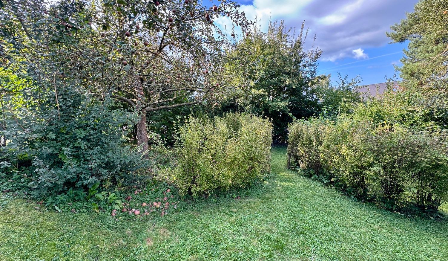 eigener Gartenbereich