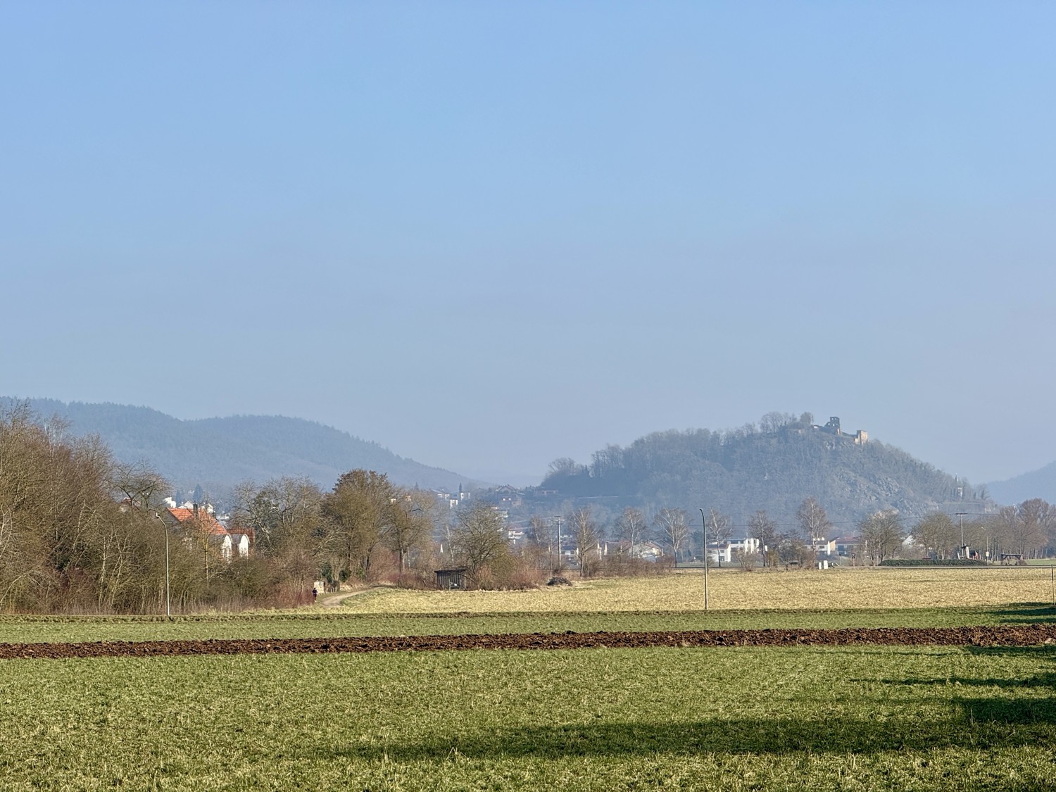 Wohnen direkt am Naturschutzgebiet