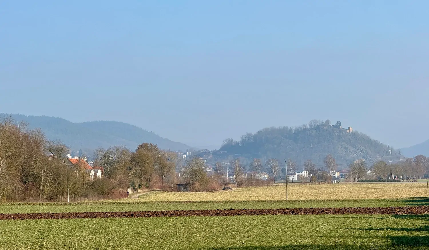 Wohnen direkt am Naturschutzgebiet