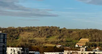 von_poll_real_estate_property_24119040b_image_12