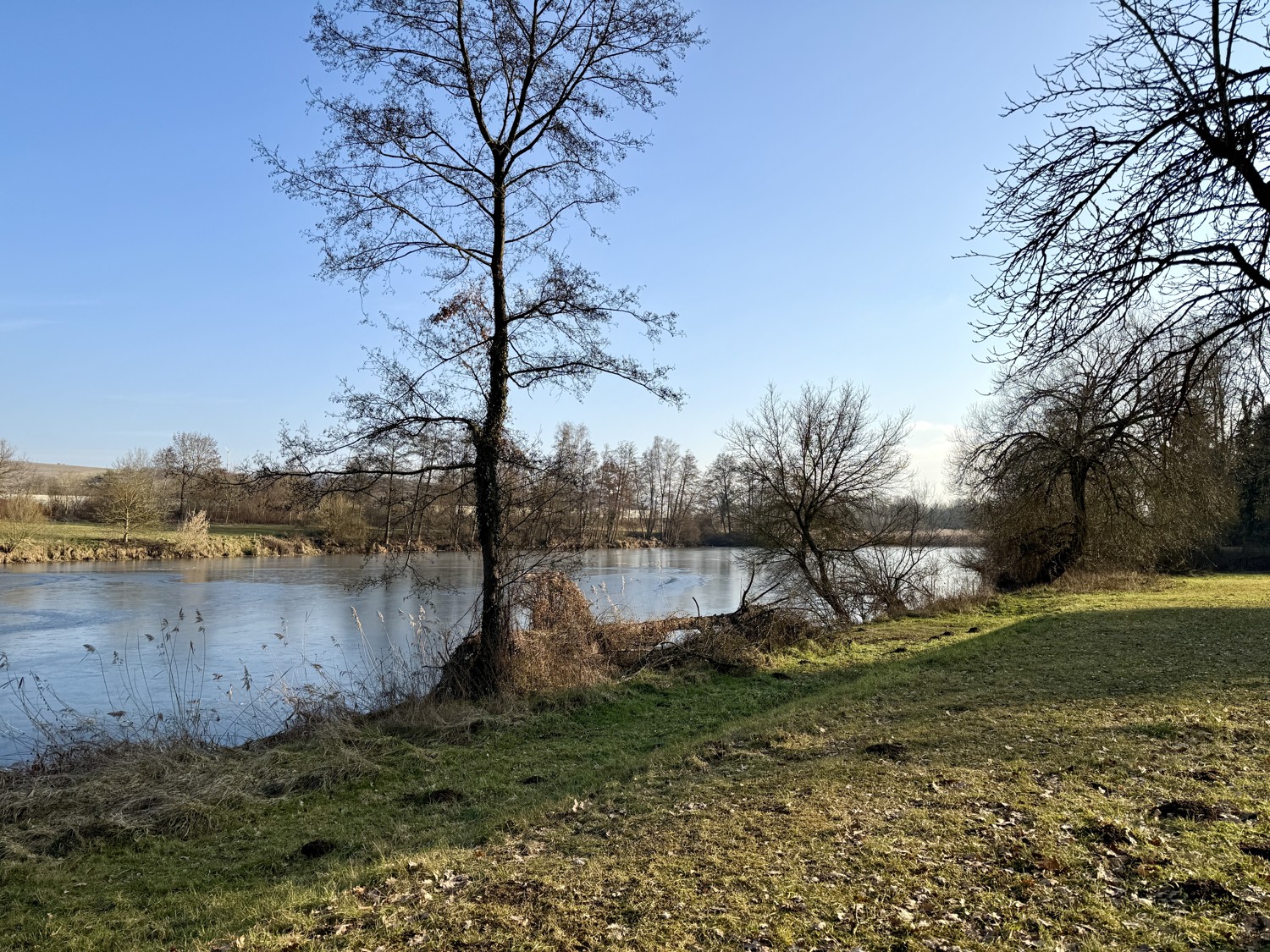 Wohnen direkt an den Regenauen