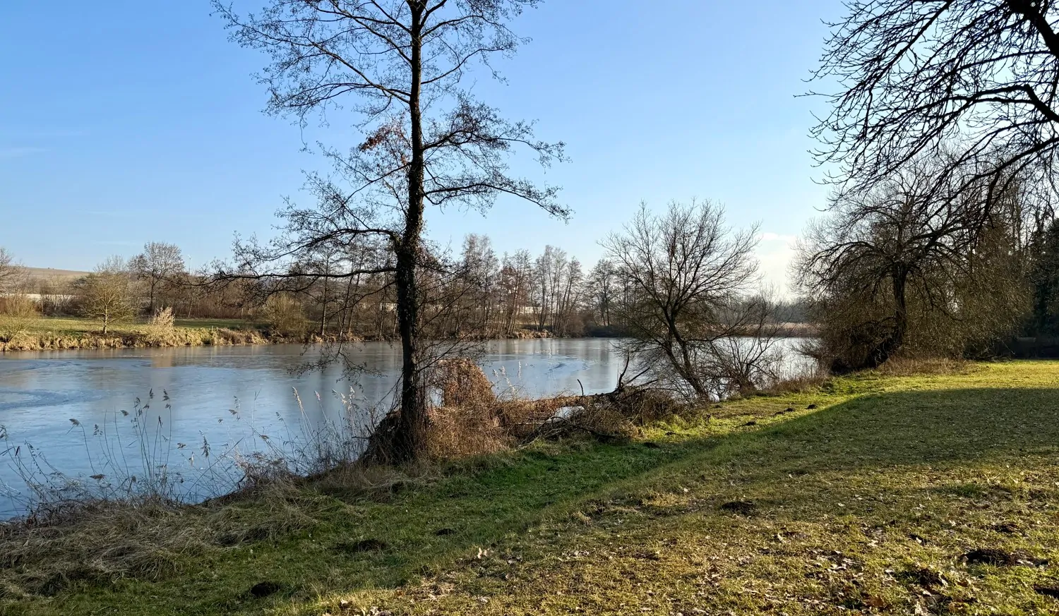 Wohnen direkt an den Regenauen