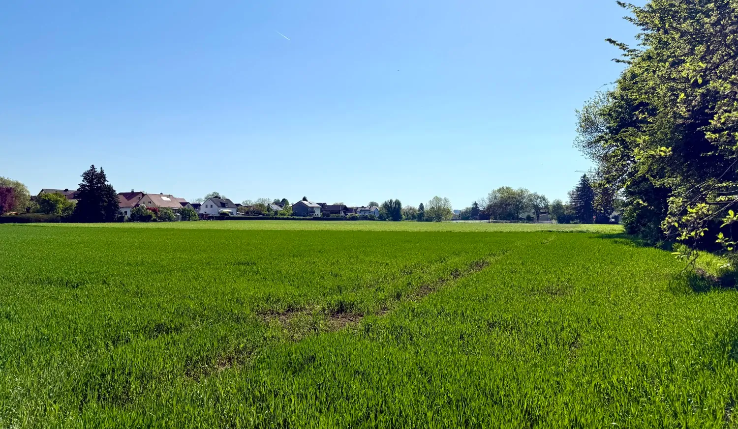 Wohnen an den Grünen Feldern