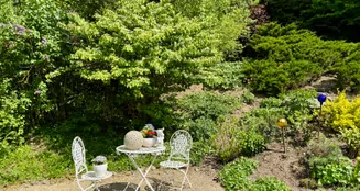 von_poll_real_estate_property_25119029_image_28