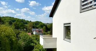 von_poll_real_estate_property_25119029_image_27