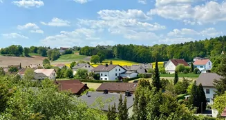 von_poll_real_estate_property_25119029_image_30